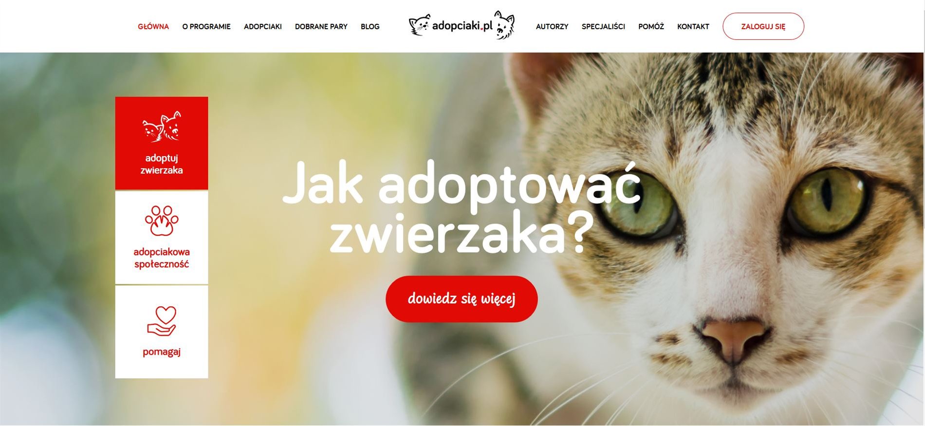 Adopciaki — Responsive website view